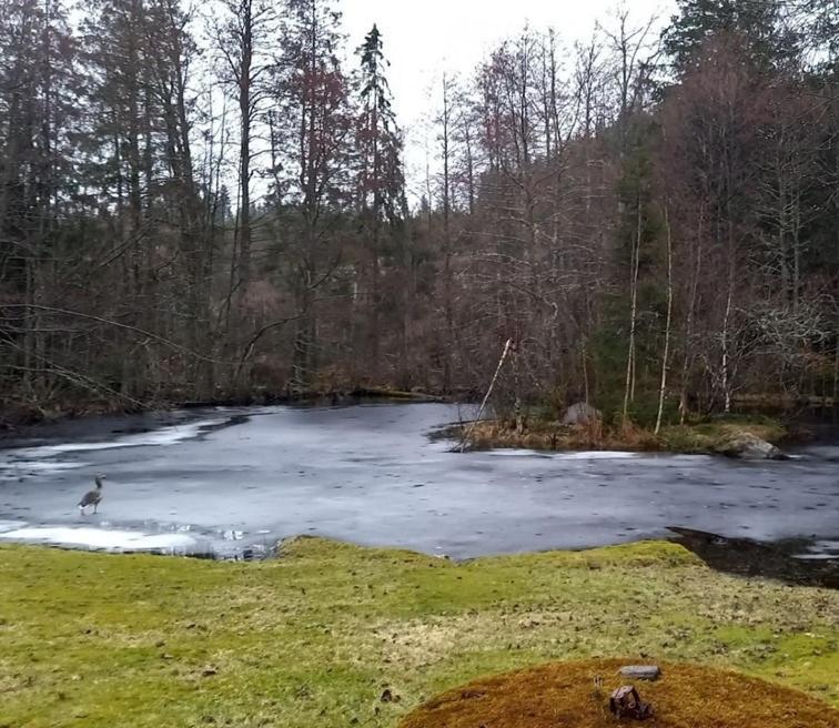 Gaeststuga I Vacker Natur, Bastu, Bubbelpool Sommartid Och Gratis Parkering Naera Ulricehamn Och Lassalyckan, Guesthouse With Nice View With Sauna And Free Parking Close To Dalsjoefors And Fishing Borås Esterno foto
